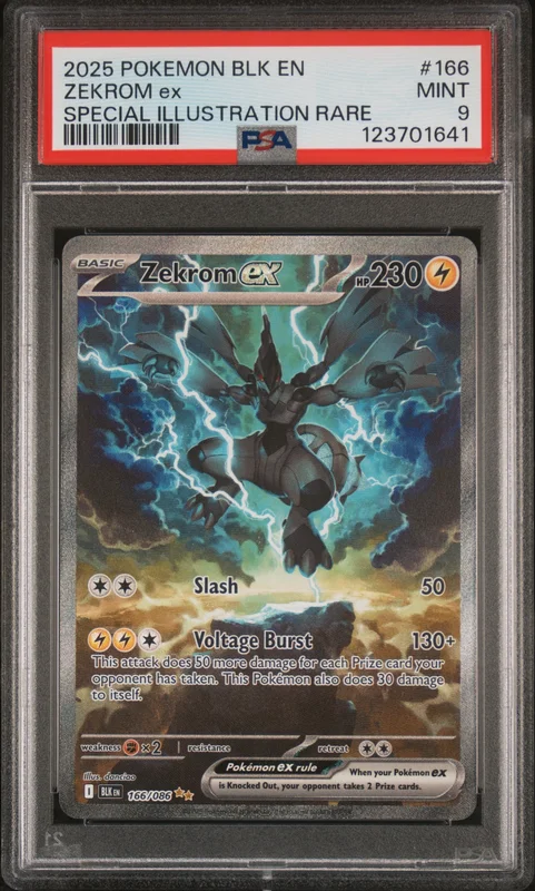 cardshq242063