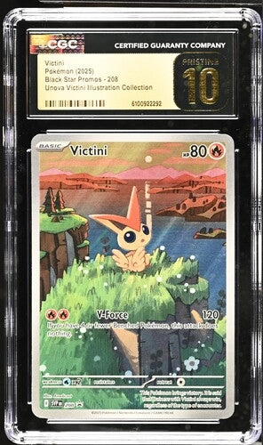 cardshq281666