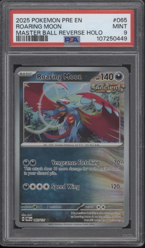 collectorstore172000