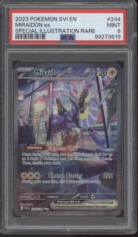 collectorstore174144