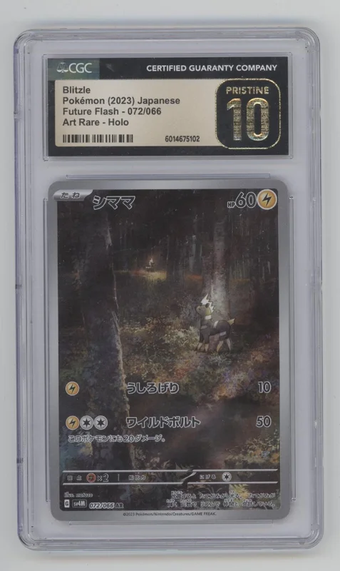 collectorstore227369