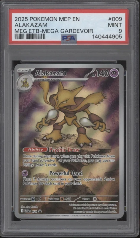 collectorstore253027