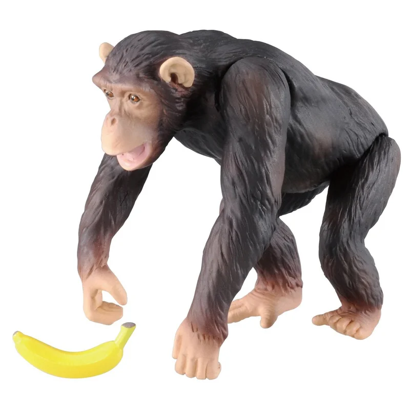 japan-figure61503